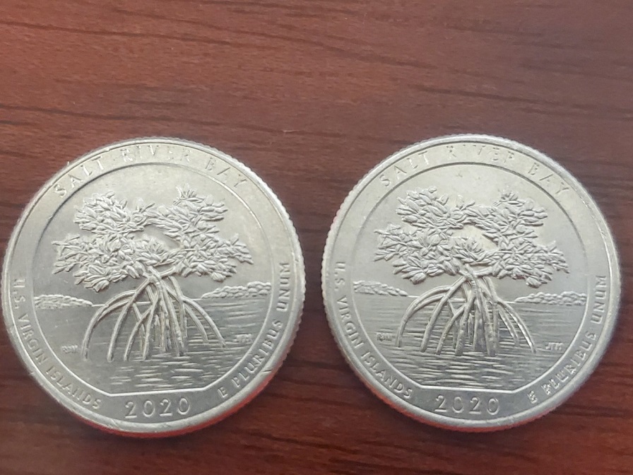 2020-Salt-River-Bay-P-Quarter