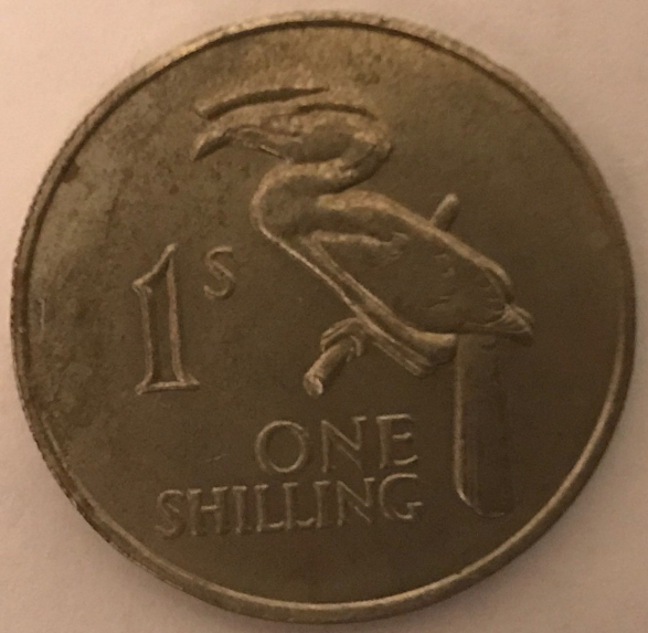Post-Your-Coins-Representing-The-Animal-Kingdom.