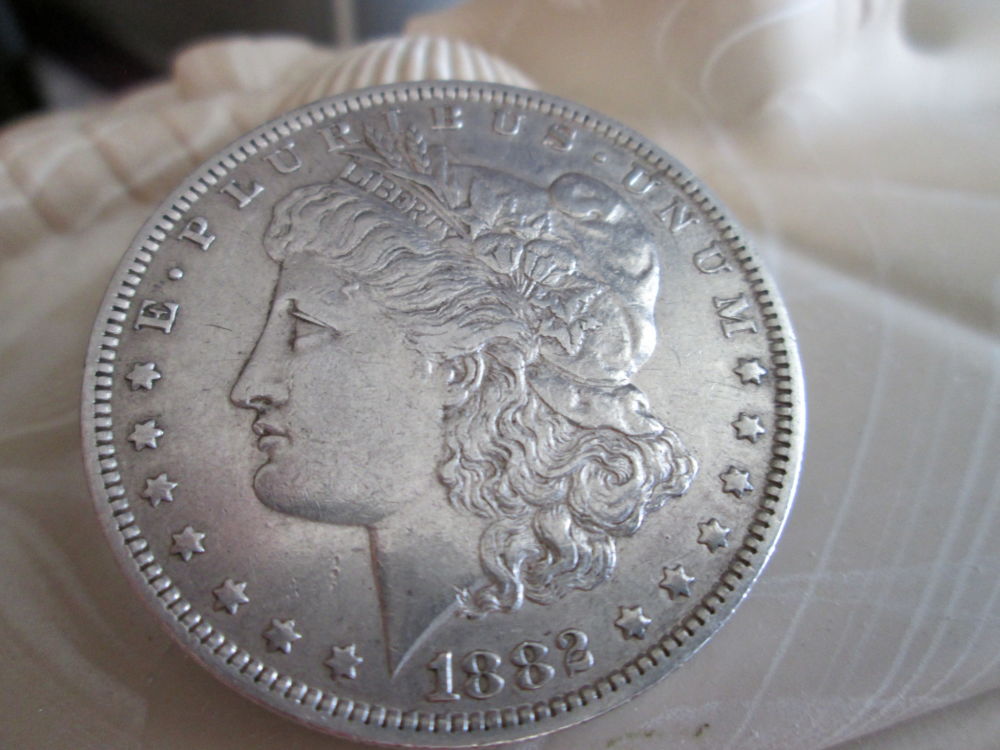 1882-O-Morgan-Dollar-Information