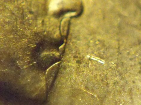 1962-Penny...filling-In-Front-Of-Queen