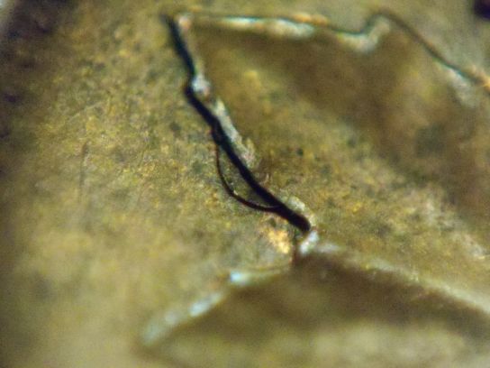 1971-Double-1..right-Leaf..lamination-Peel