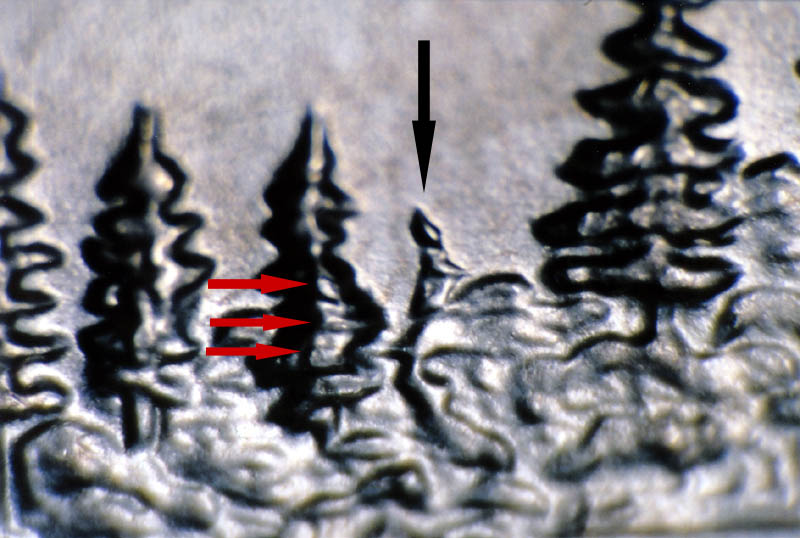 2005-Minnesota-Quarter-DDR-Extra-Tree-And-Spike-Head
