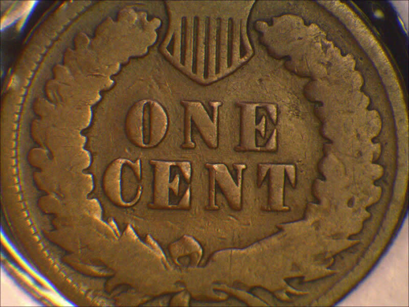 1873-Indian-Head-Cent-In-The-Wild-Is-A-Sweet-Surprise!