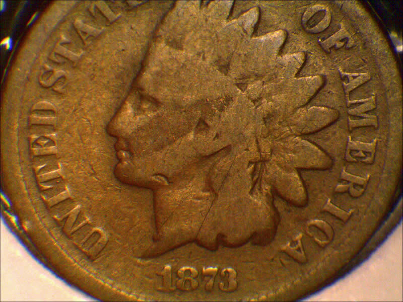 1873-Indian-Head-Cent-In-The-Wild-Is-A-Sweet-Surprise!