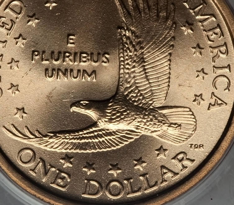 Wounded-Eagle-Or-Just-Damage-On-This-Sacagawea-Dollar-?