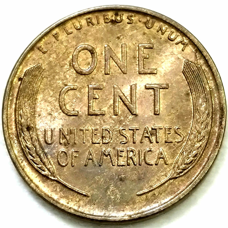 1936-LWC-DDO-FS-102-Need-Your-Input