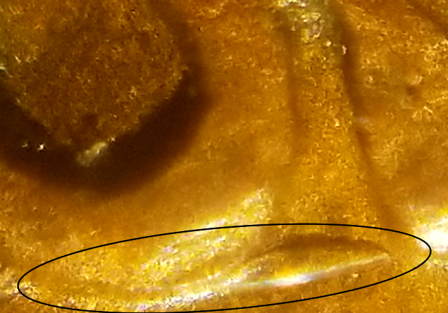 What-Is-This-On-My-1958-D-Penny?