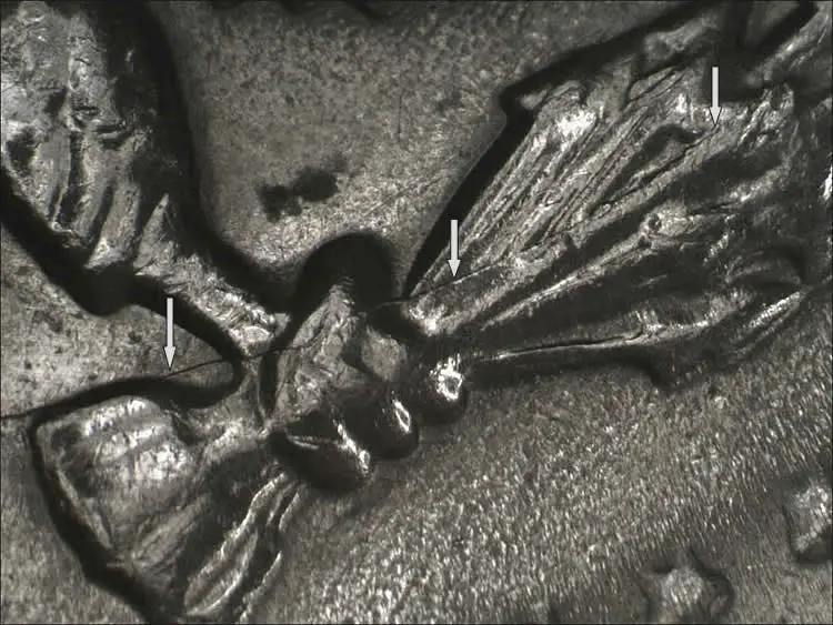 1972-D-Kennedy-Half-Unusually-Long-Interior-Die-Crack