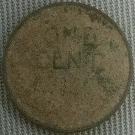 My-Favorite-Description-Of-A-Buffalo-Nickel-This-Year-On-Ebay