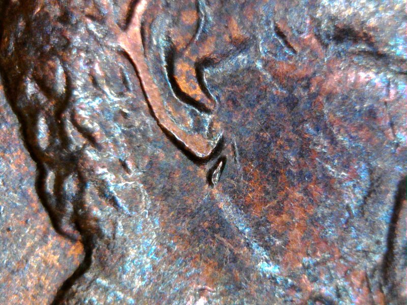 1986-D-LMC-Thoughts-As-To-A-Possilbe-Doubled-Ear?-Trying-To-Understand-This