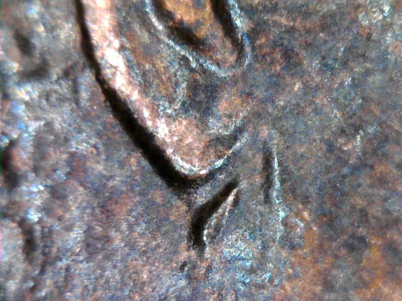 1986-D-LMC-Thoughts-As-To-A-Possilbe-Doubled-Ear?-Trying-To-Understand-This