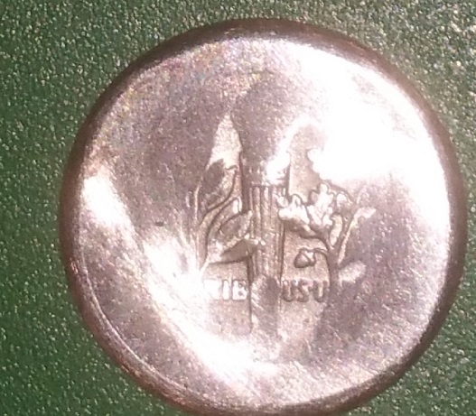 What-Am-I-Looking-At?--Help-Needed-Identifying-Roosevelt-Dime