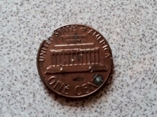 1984-Possible-Error?