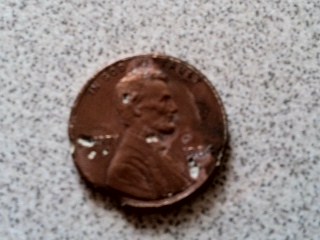 1984-Possible-Error?