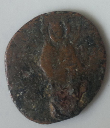 Please-Help-With--ID-&-Price-|-Greek-&-Roman,-Fake-&-Genuine