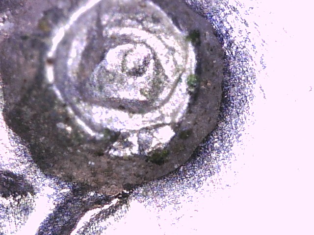 1976-D-Dime...-Anyone-Ever-Seen-Anything-Like-This?