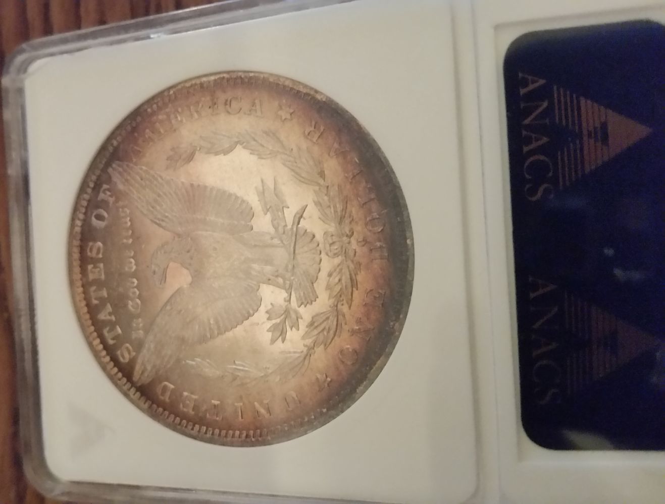Some-New-Acquisitions-In-The-Last-Couple-Weeks..-Enjoy!
