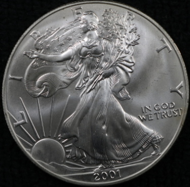 First-Attempt-At-Shooting-Silver..-Opinions-And-Advice-Welcomed