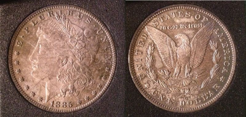 Tidy-House-Promotional-Morgan-Dollar