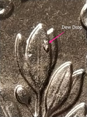 2018-P--Roosevelt--Error.-Dime