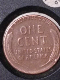 1955-Penny,-Dd?-And-Cud/