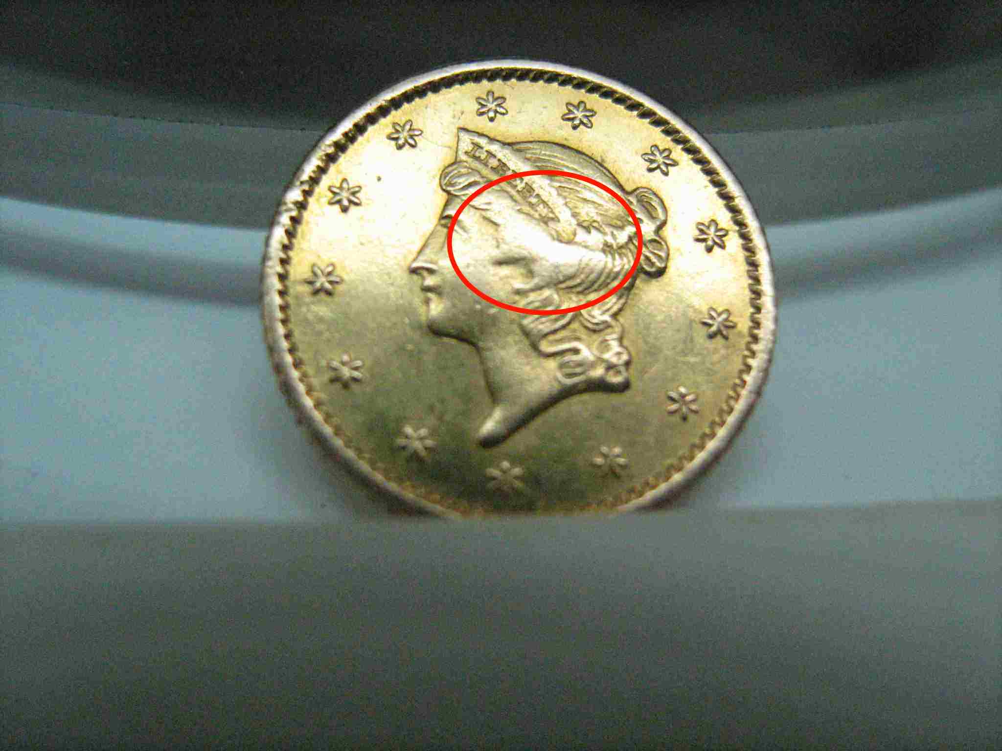 US-Gold-Error