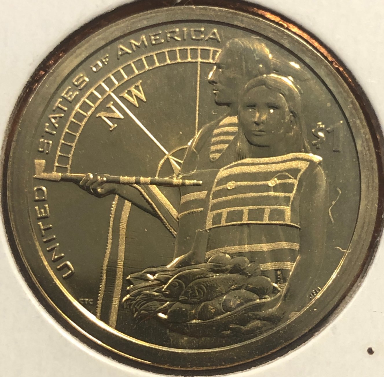 2014-Sacagawea/Native-American-Proof-Dollar---Frosting-Error?