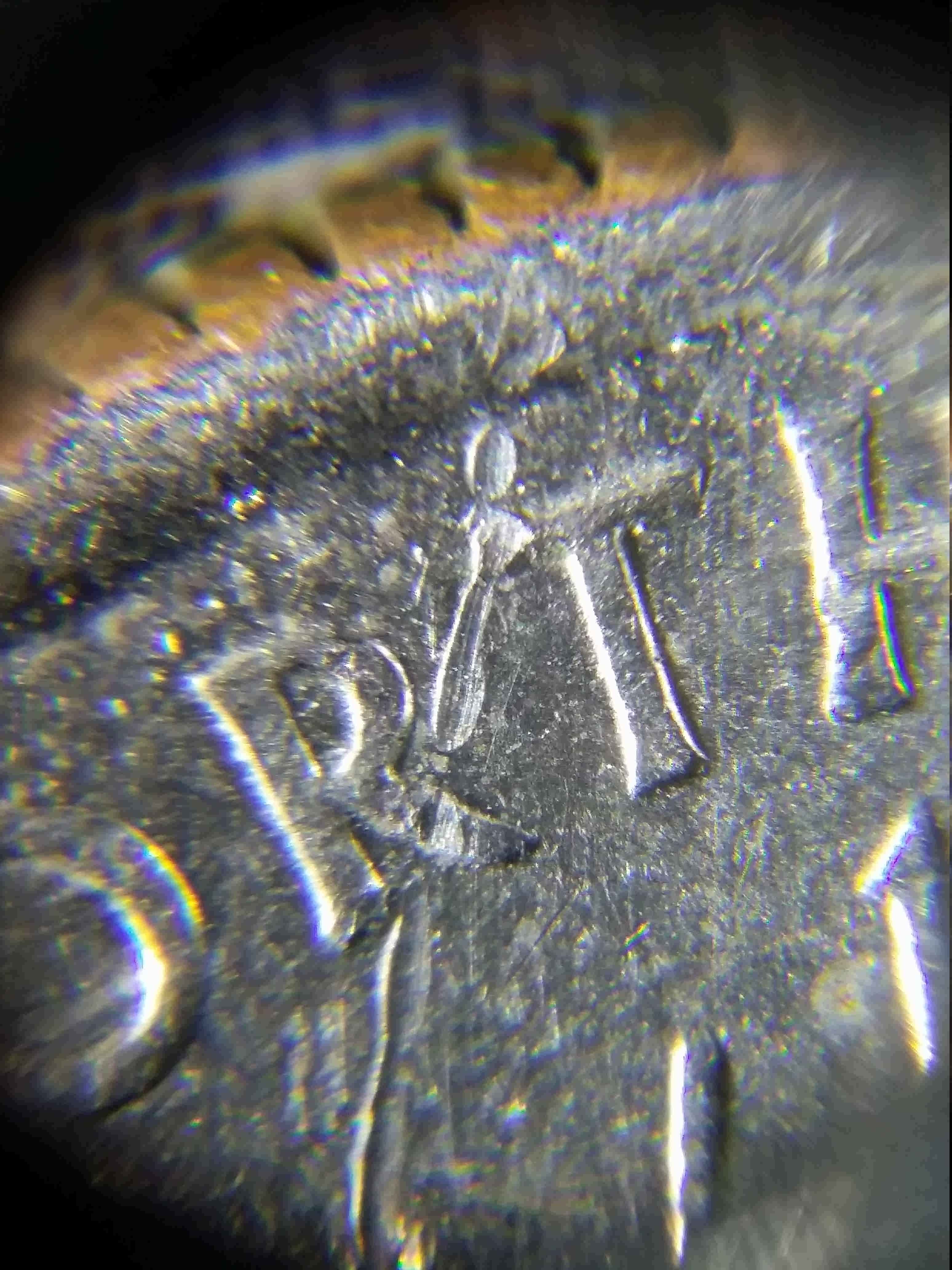 2006-Quarter-Speared-Bison?