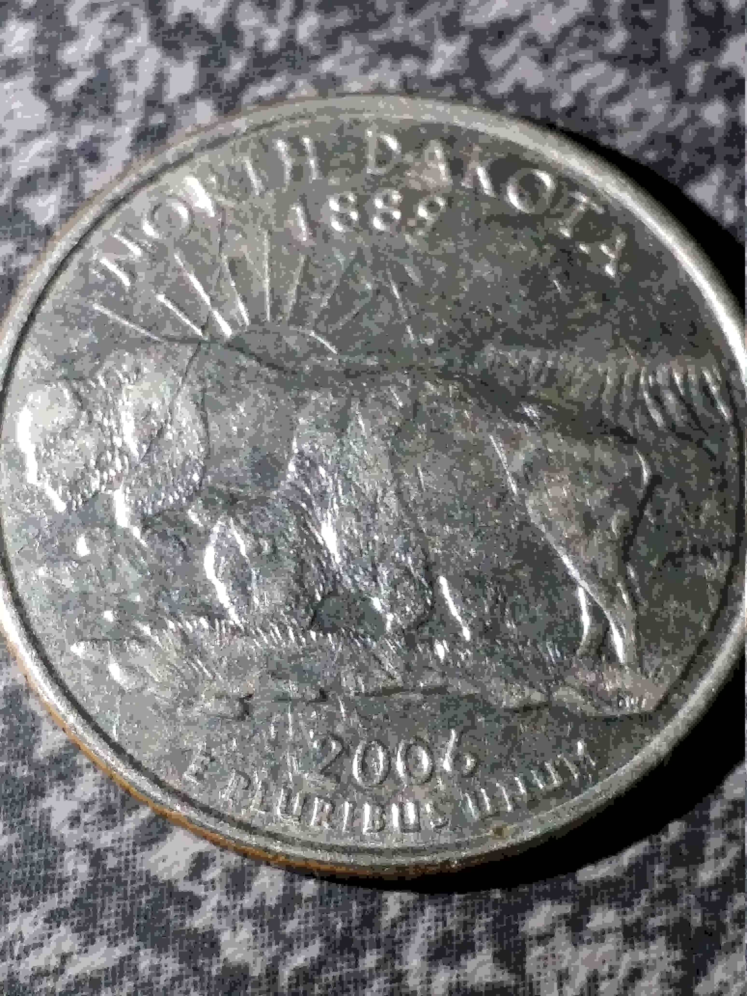 2006-Quarter-Speared-Bison?