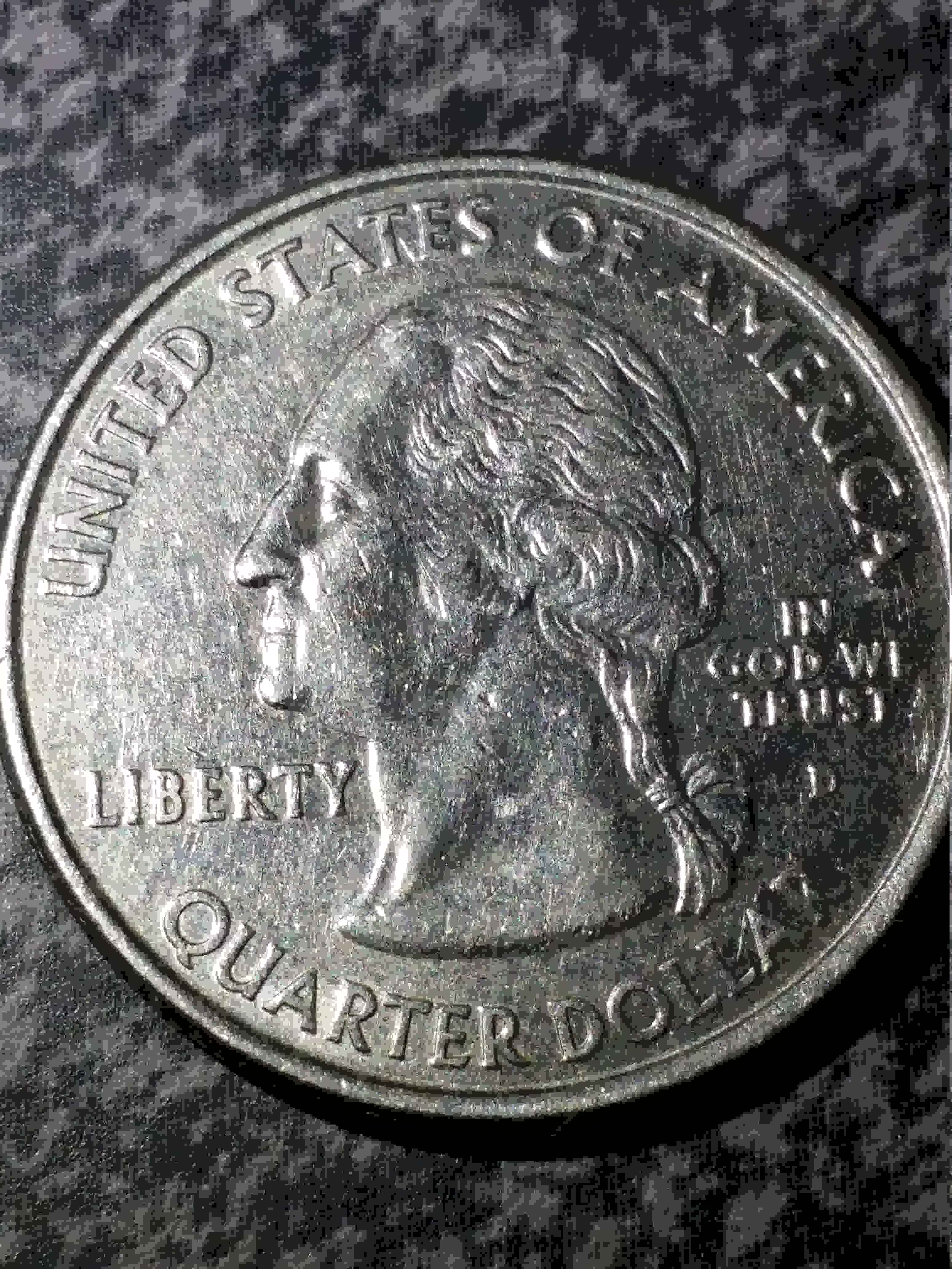 2006-Quarter-Speared-Bison?