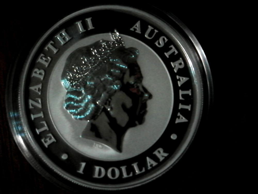 2016-Kookaburra