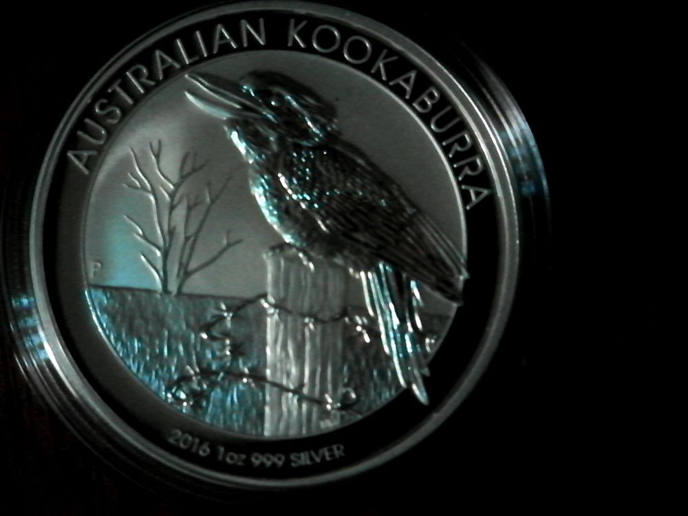 2016-Kookaburra