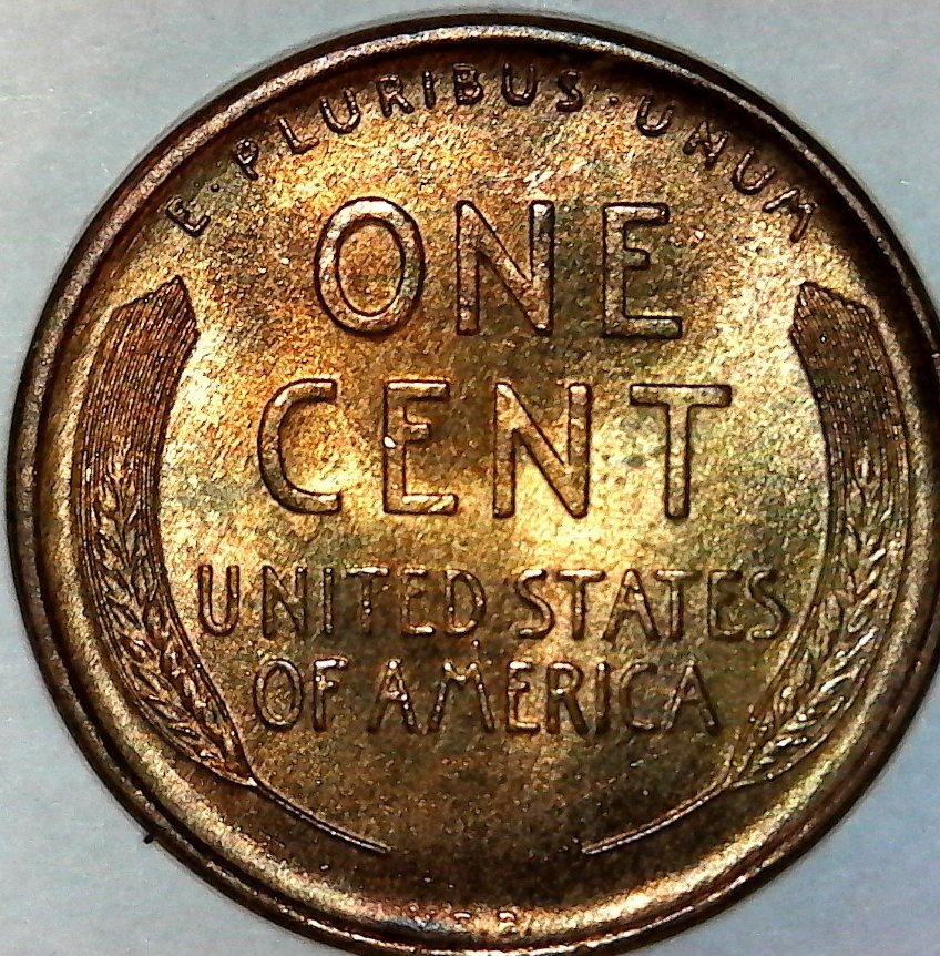 Please-Grade-This-1909-VDB-LWC