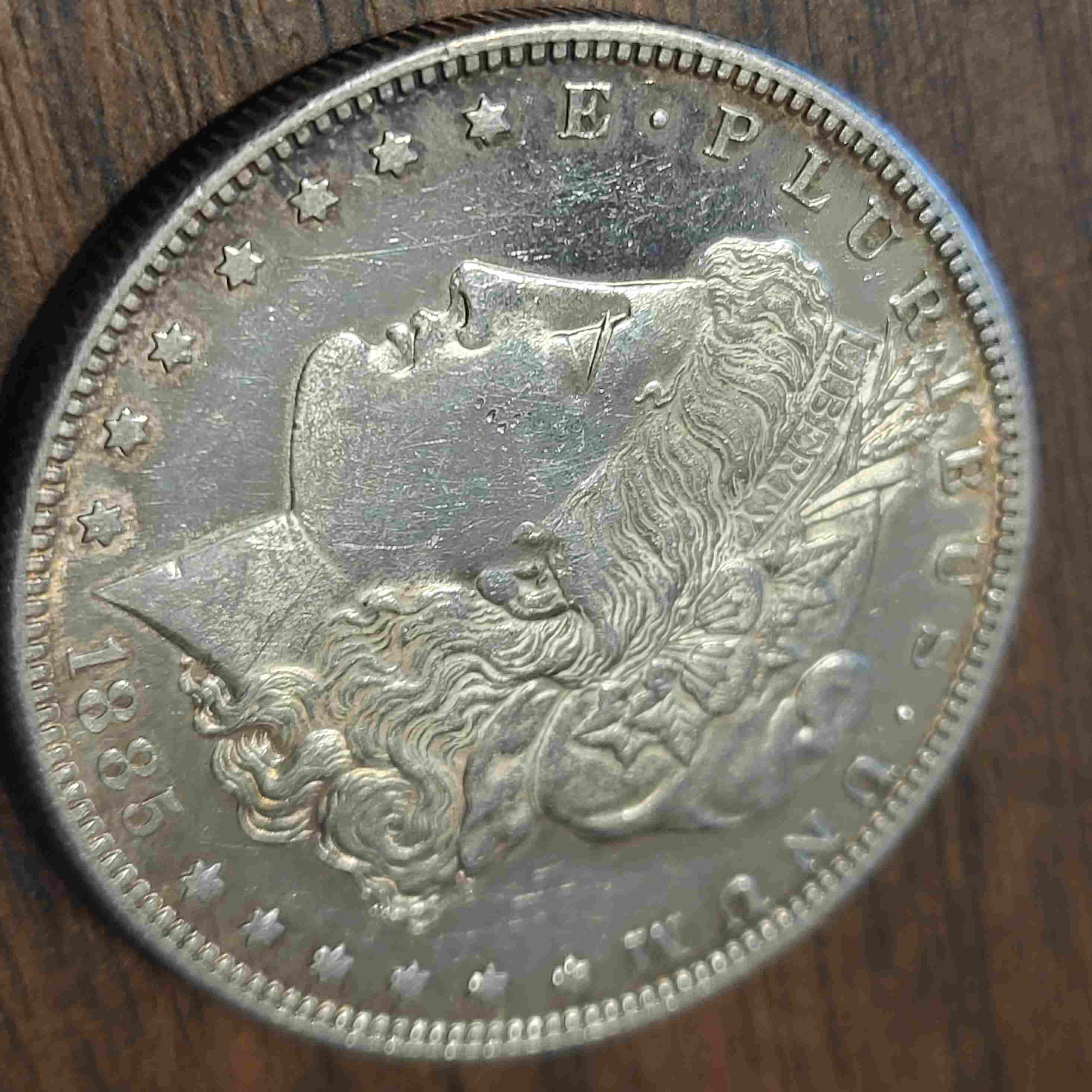 1885-S-Morgan-Dollar-For-Grading
