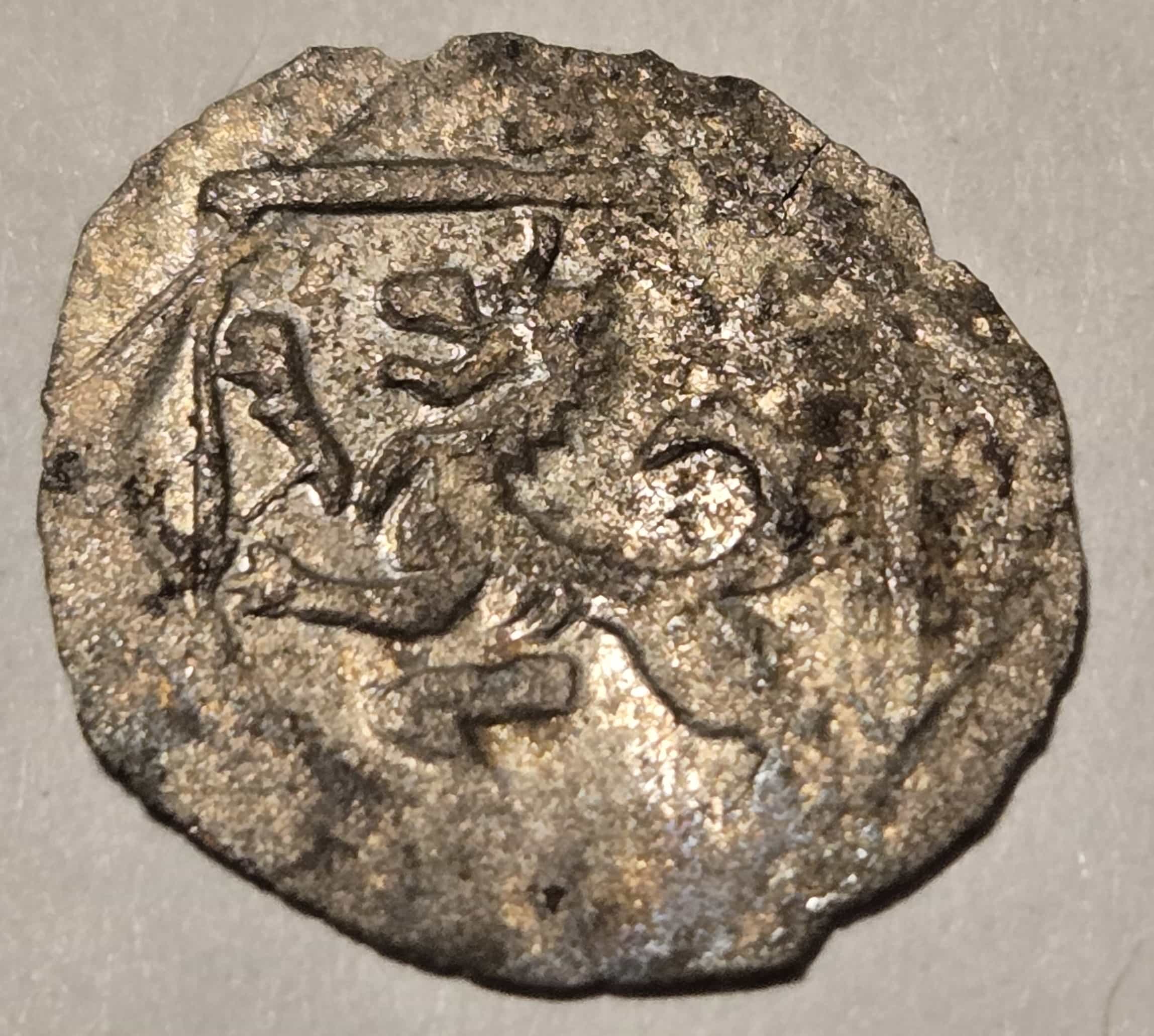 ID-Help-Possibly-Bohemian?