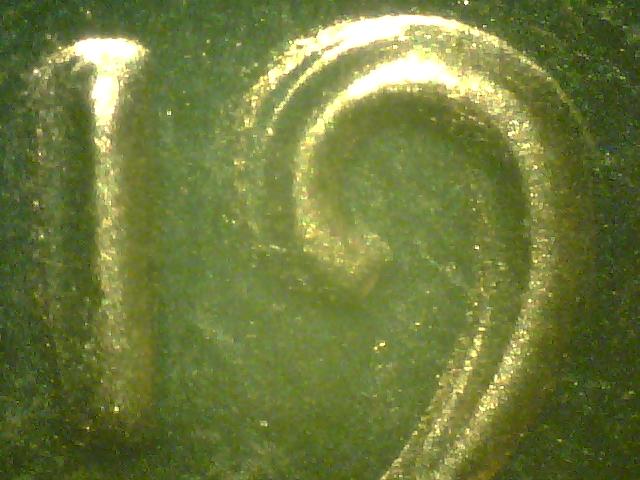 1970-S-LMC-Dbl-Obv.