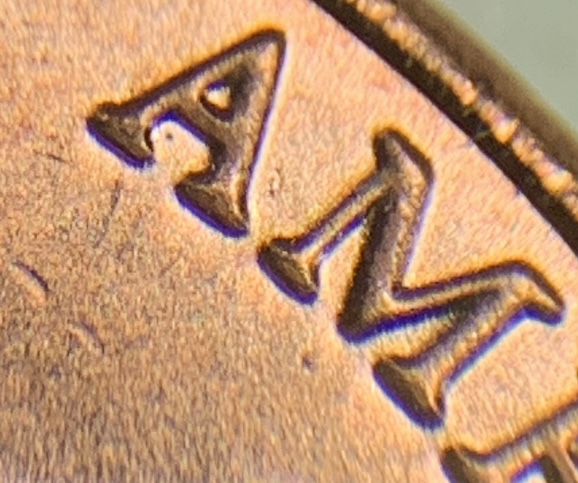 2024-P-LSC-Wexlers-WDDO-002