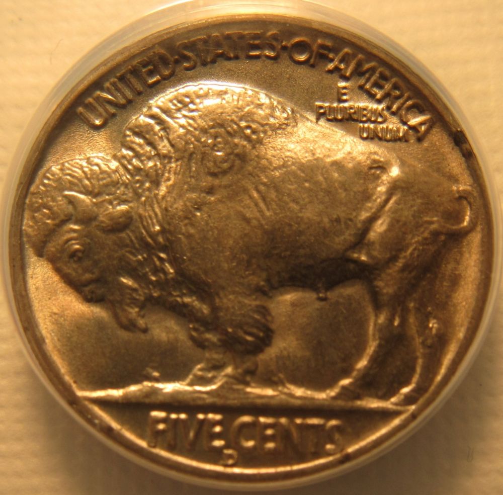 New-Buffalo-Collection-Started