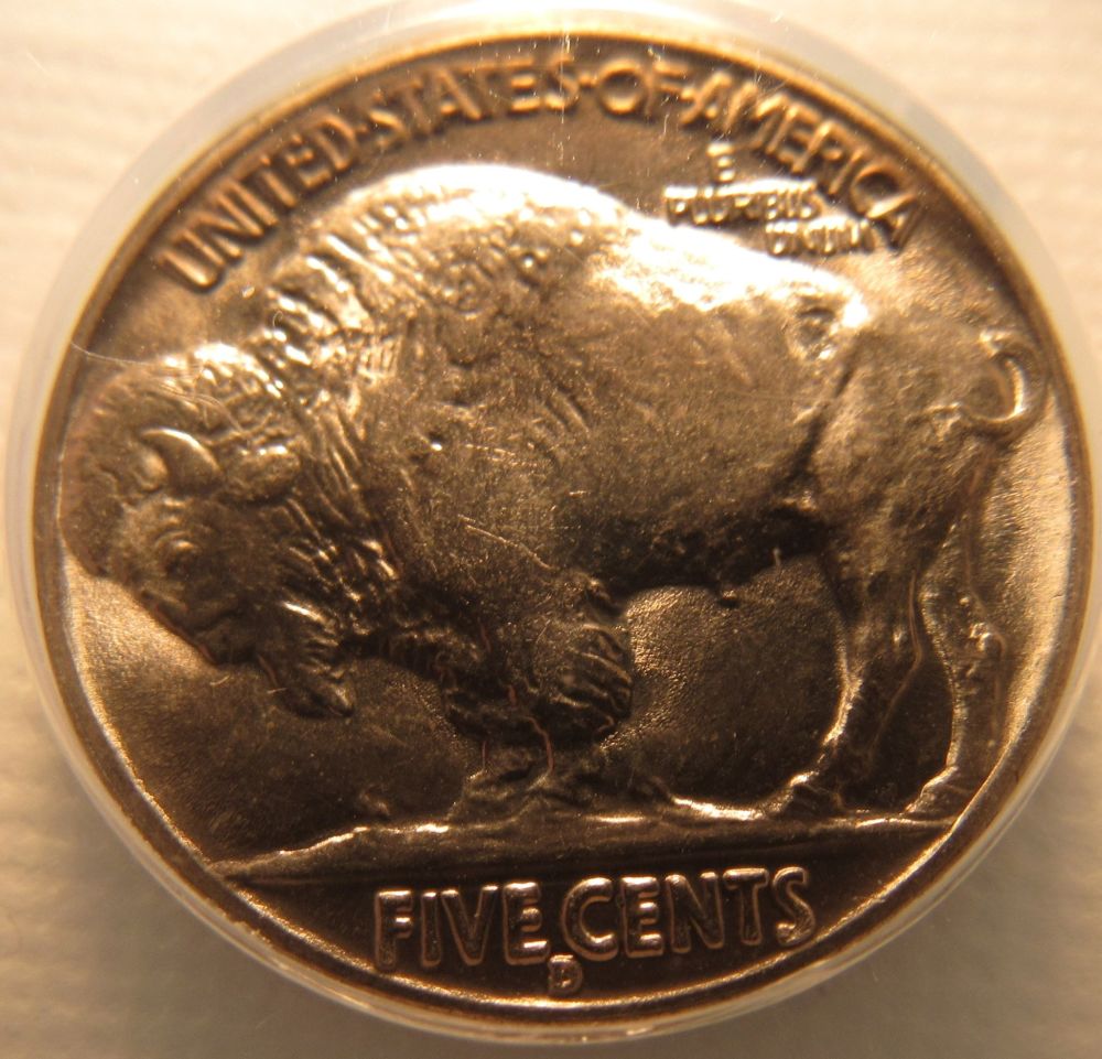 New-Buffalo-Collection-Started