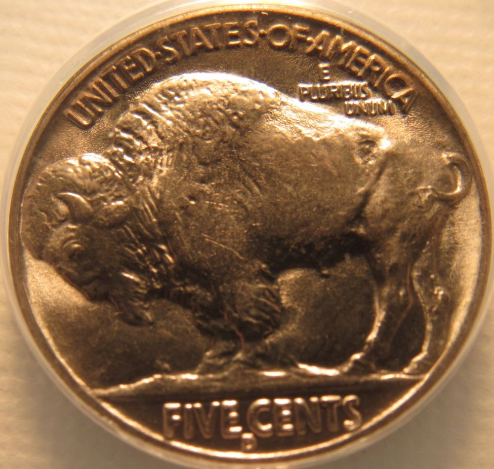 New-Buffalo-Collection-Started