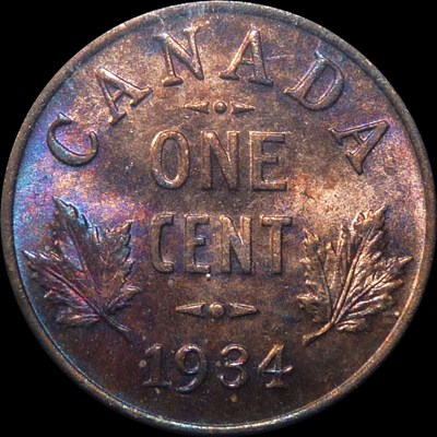 Continuing-List-To-Show-Everyones-Latest-Acquisitions