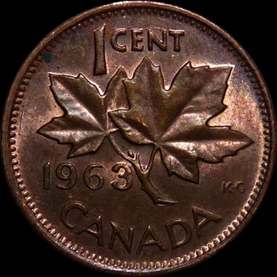 Interesting-Find-From-Circulation