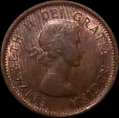 Interesting-Find-From-Circulation