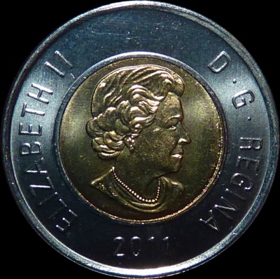 Interesting-Find-From-Circulation