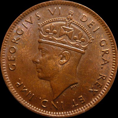 Continuing-List-To-Show-Everyones-Latest-Acquisitions