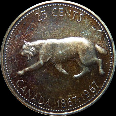 Continuing-List-To-Show-Everyones-Latest-Acquisitions