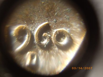 Question-About-1960-D-MD