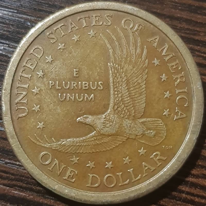 Sacagawea-Dollar-Error-!!?