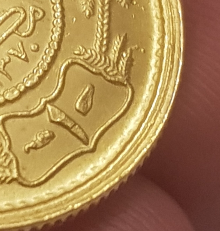 Saudi-Guinea--Error?