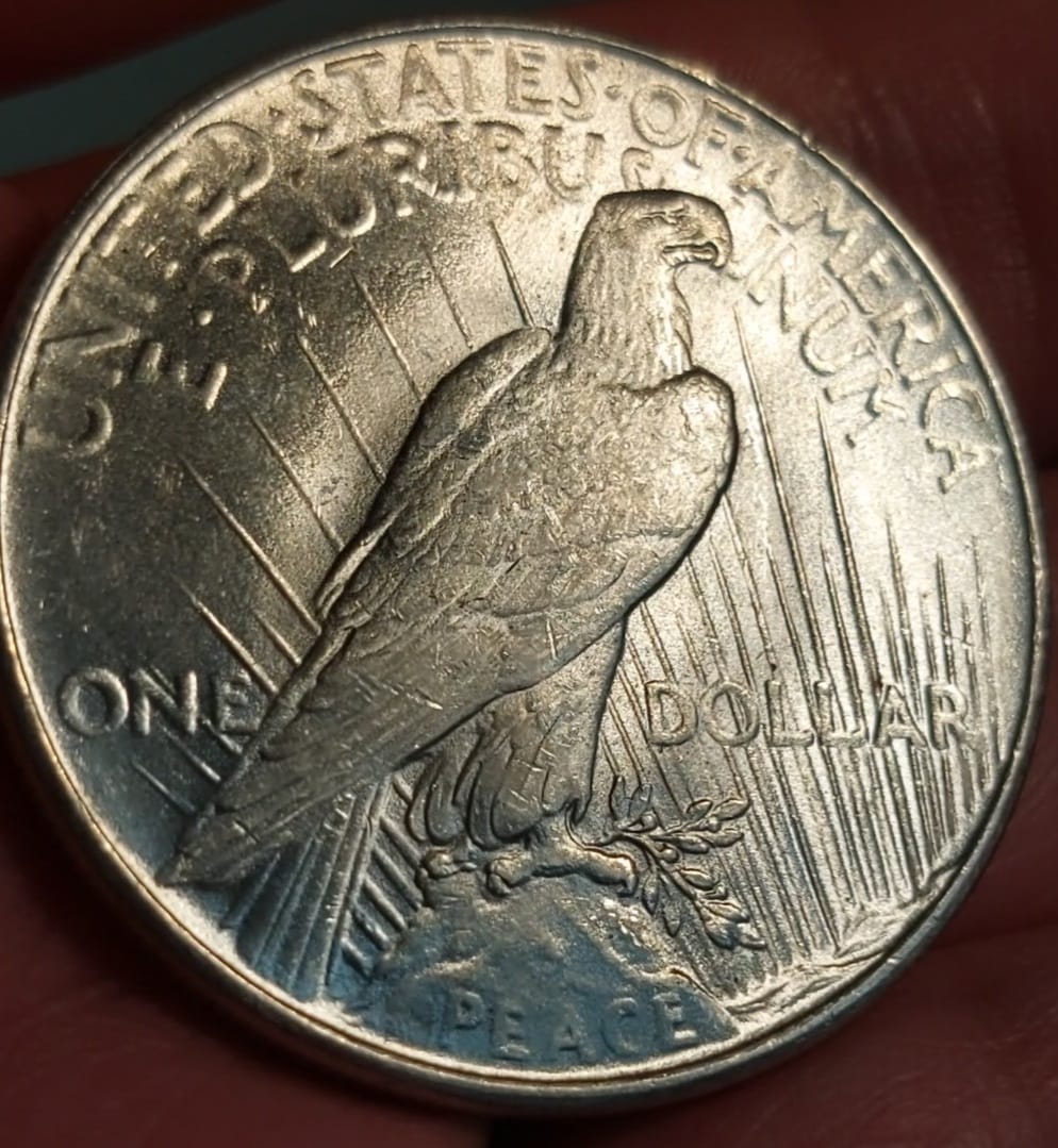 1924-Peace-Dollar-Grade